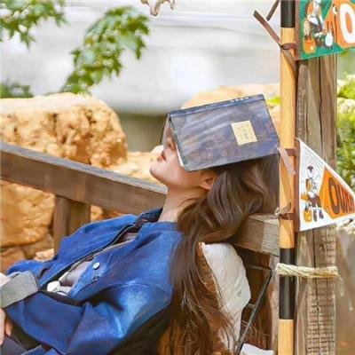 某大叔的VRMMO活动记